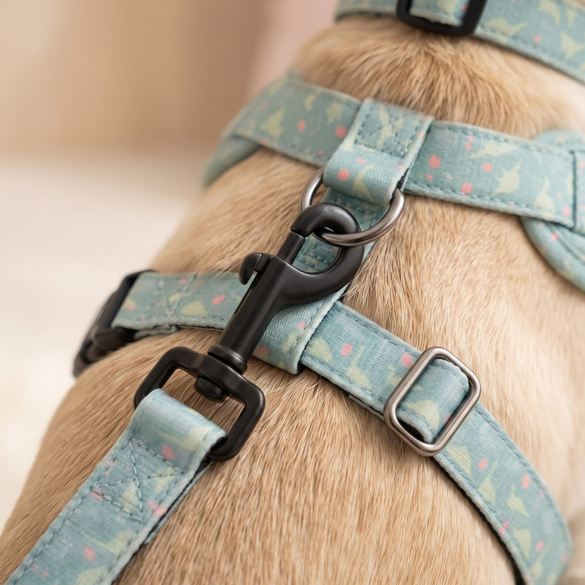Harnais petit chien imprimé dinosaure - zoom sur la boucle-clip du collier en extérieur