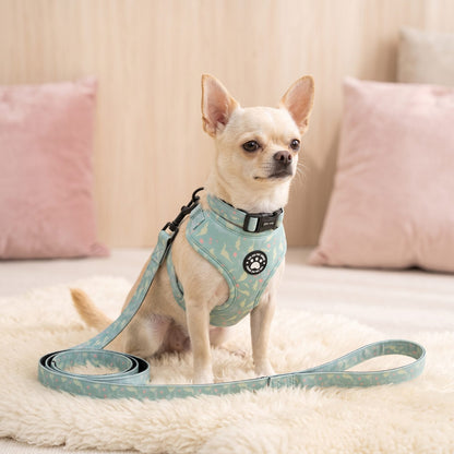 Harnais petit chien imprimé dinosaure - chihuahua assis face à des coussins