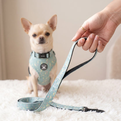 Harnais petit chien imprimé dinosaure - poignée de la laisse assortie tenue en main