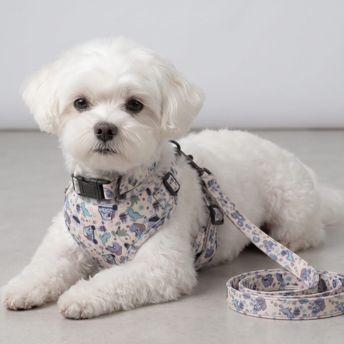 Petit chien couché en intérieur, détendu, portant le harnais et le collier imprimé dinosaures colorés