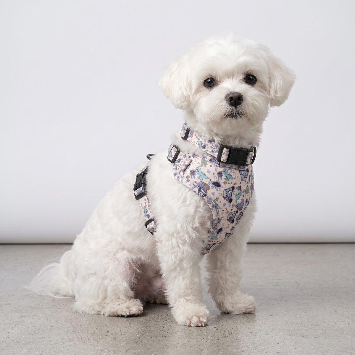 Ensemble harnais, collier et laisse pour petit chien imprimé dinosaures colorés, packshot sur fond blanc