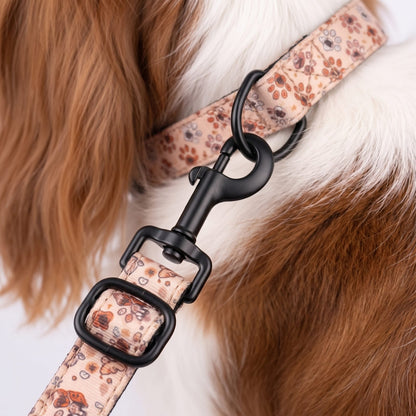 Gros plan sur le mousqueton de la laisse attaché au collier imprimé empreintes de pattes, pelage du petit chien visible autour
