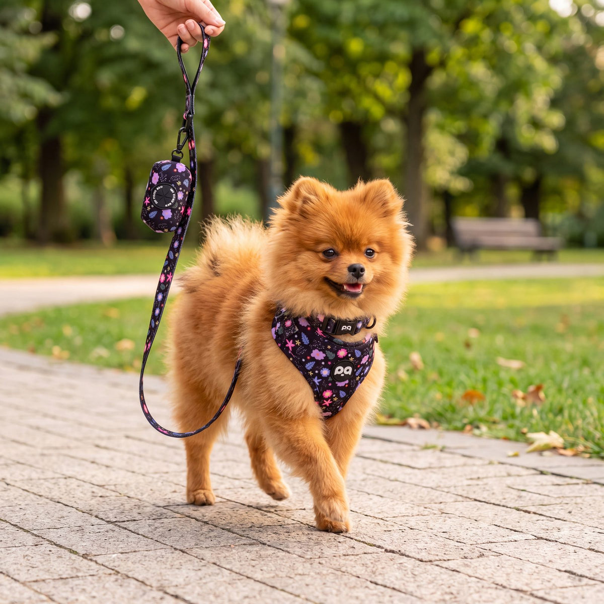 Petit chien en balade extérieure portant le harnais imprimé floral, laisse tenue en main avec distributeur de sacs à déjections assorti