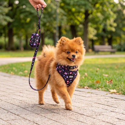 Petit chien en balade extérieure portant le harnais imprimé floral, laisse tenue en main avec distributeur de sacs à déjections assorti