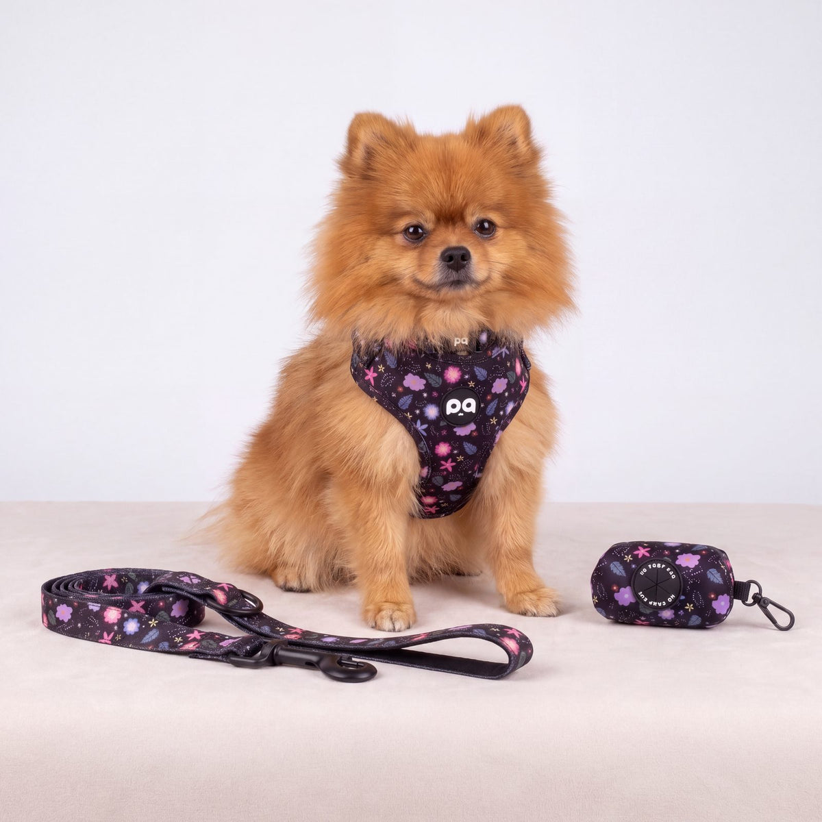 Petit chien assis de face portant l'ensemble harnais, collier et laisse à imprimé floral, distributeur de sacs à déjections assorti posé à côté