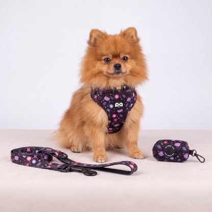 Petit chien assis de face portant l'ensemble harnais, collier et laisse à imprimé floral, distributeur de sacs à déjections assorti posé à côté