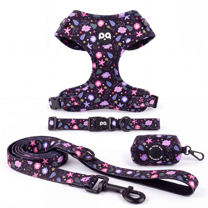 Harnais, collier, laisse et distributeur de sacs à déjections assortis pour petit chien, imprimé floral multicolore sur fond noir, présentés seuls sur fond blanc