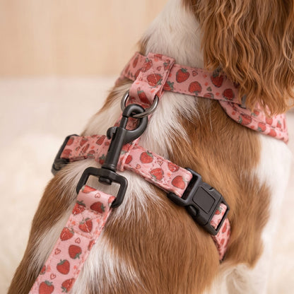 Détail de l'anneau et du mousqueton au dos du harnais petit chien imprimé fraise