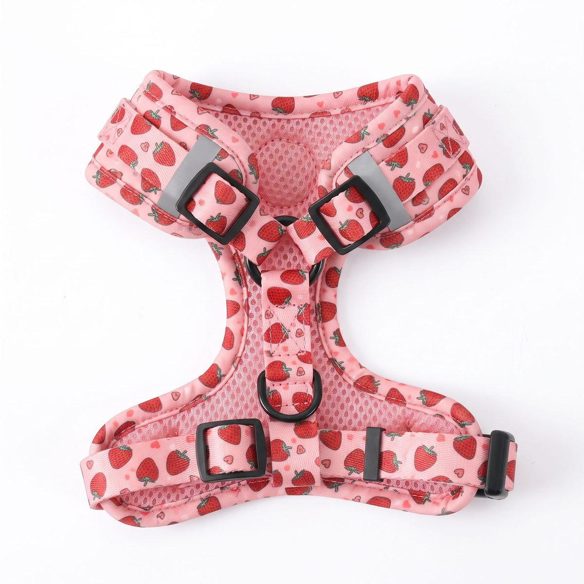 Chiot avec le harnais petit chien imprimé fraise, laisse tenue en main