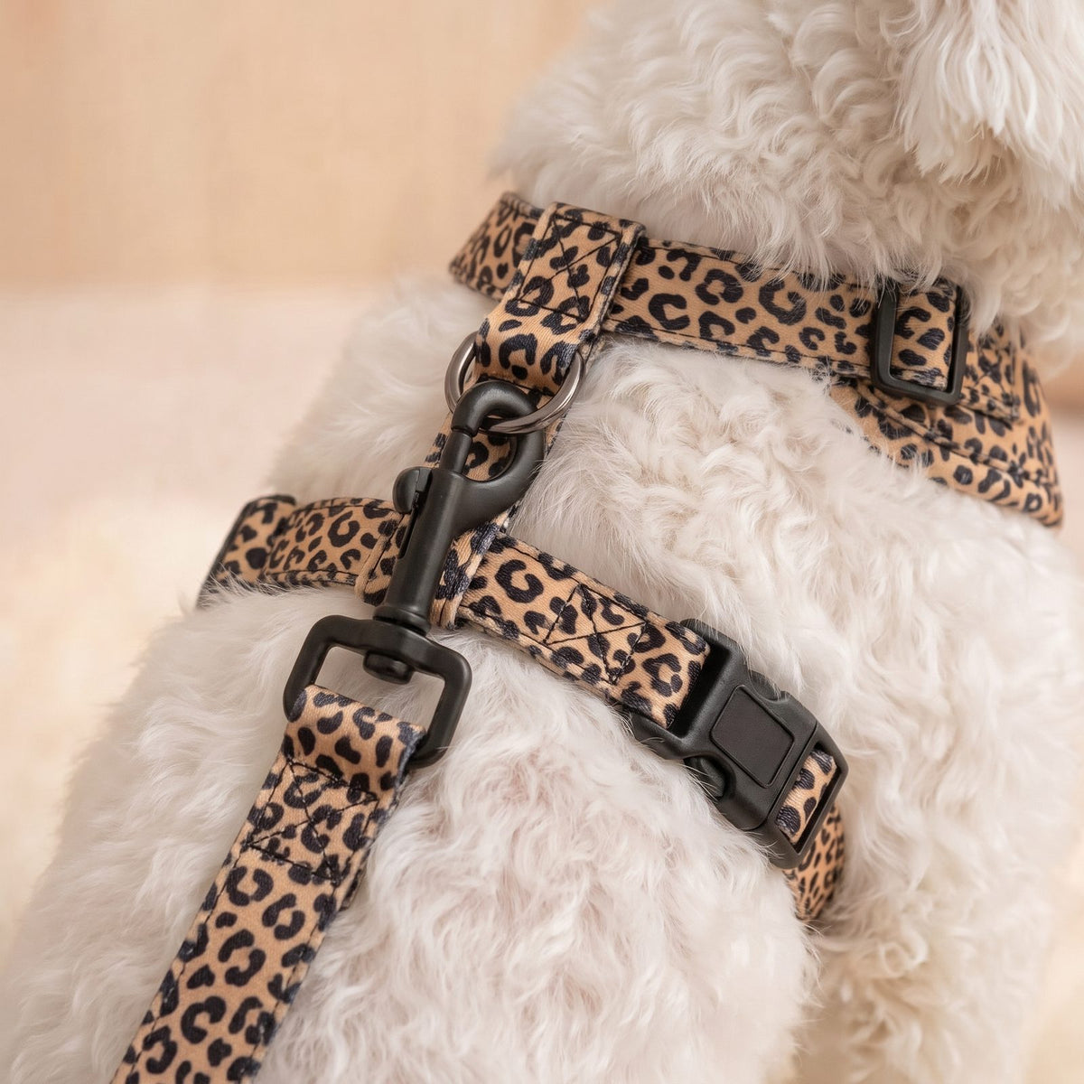 Harnais pour petit chien imprimé léopard seul, vu de face sur fond blanc