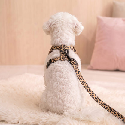 Petit chien vu de dos, assis en intérieur, portant le harnais et le collier pour petit chien imprimé léopard