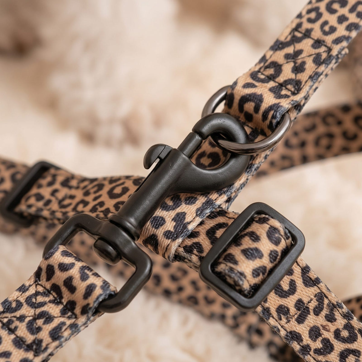 Petit chien couché et détendu, portant le harnais et le collier imprimé léopard, zoom sur un détail du produit