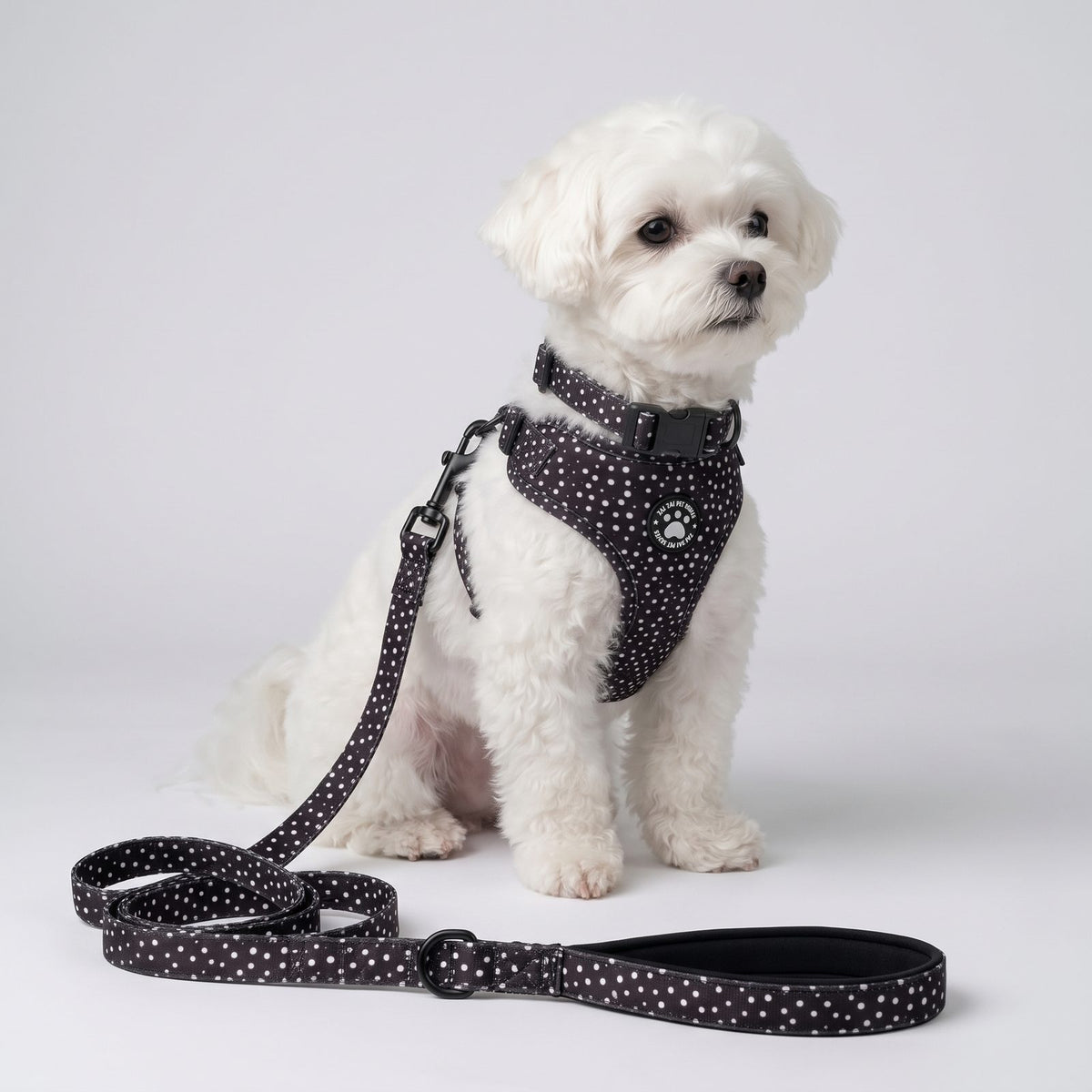 Petit chien assis de trois-quarts avec le harnais, le collier et la laisse imprimés pois noir, laisse enroulée au sol