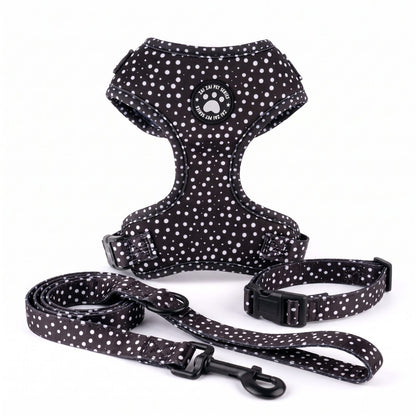 Ensemble harnais, collier et laisse pour petit chien imprimé pois noir, packshot sur fond blanc