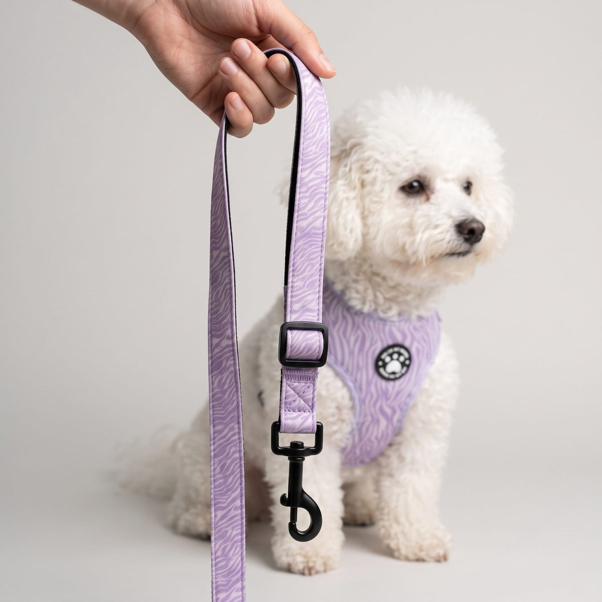 Main tenant la laisse assortie au harnais petit chien imprimé zèbre, avec mousqueton et boucle de réglage