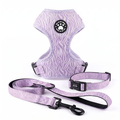 Ensemble complet harnais petit chien imprimé zèbre, laisse et collier assortis, présentés à plat