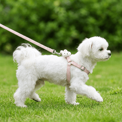 Bichon maltais blanc portant le harnais petit chien LapinChou rose à carreaux vichy en extérieur, vu de profil en train de marcher, harnais fin type H