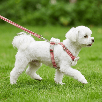 Bichon maltais blanc portant le harnais petit chien LapinChou rouge à carreaux vichy en extérieur, vu de profil en train de marcher, harnais fin type H