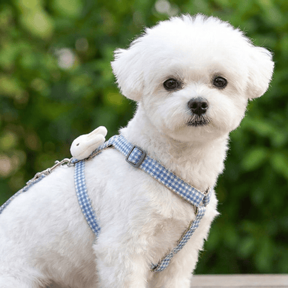 Bichon maltais blanc assis portant le harnais petit chien LapinChou bleu à carreaux vichy en extérieur, vue de trois-quarts, pompon lapin sur le côté