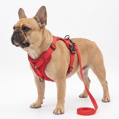 Harnais petit chien LumiSoft rouge présenté seul sur fond blanc