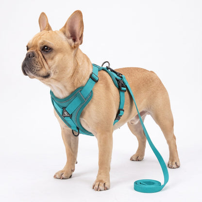 Harnais petit chien LumiSoft vert présenté seul sur fond blanc
