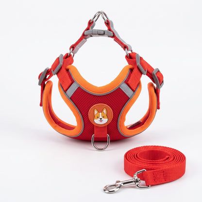 Petit chien portant le harnais ToudouxFlex turquoise et orange en studio sur fond blanc