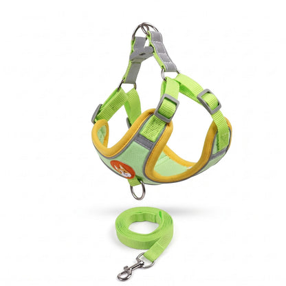 Harnais petit chien ToudouxFlex vert et jaune présenté seul sur fond blanc