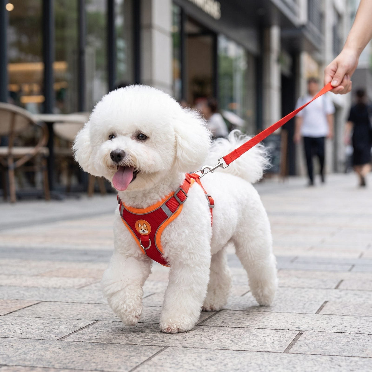 Harnais petit chien ToudouxFlex rouge et orange présenté seul sur fond blanc