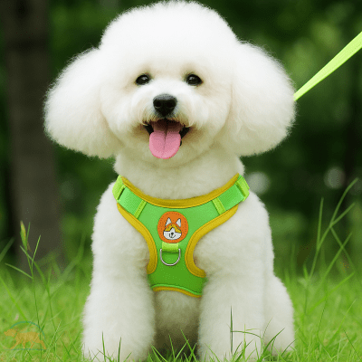Harnais petit chien vert et jaune ajustable avec logo joyeux pour usage extérieur - ToudouxFlex
