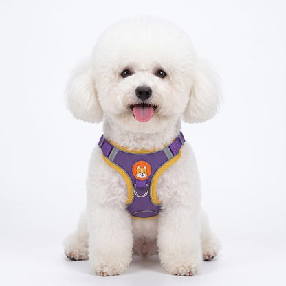 Petit chien portant le harnais ToudouxFlex rouge et orange, promenade en ville en laisse