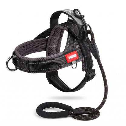 Harnais pour chien confort respirant coloris rose et gris, vue détail des finitions
