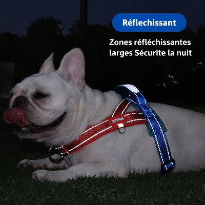 harnais reflechissant chien haute visibilite securite nuit avec bandes lumineuses