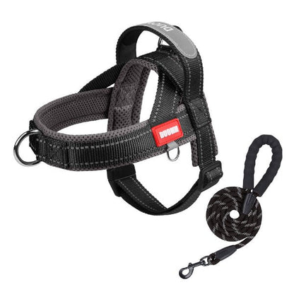 harnais chien noir robuste securise style professionnel avec laisse solide incluse