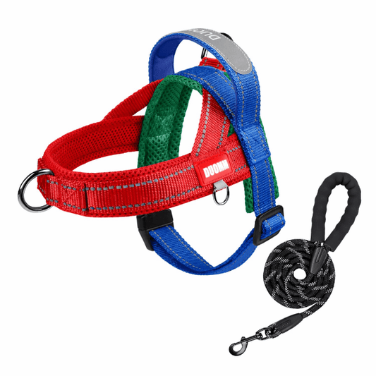 harnais chien reglable style saddle multicolore avec laisse incluse vue produit studio