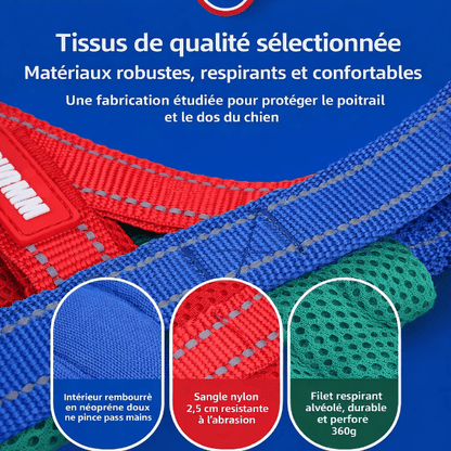 harnais respirant chien avec sangles nylon resistantes et filet aere confortable