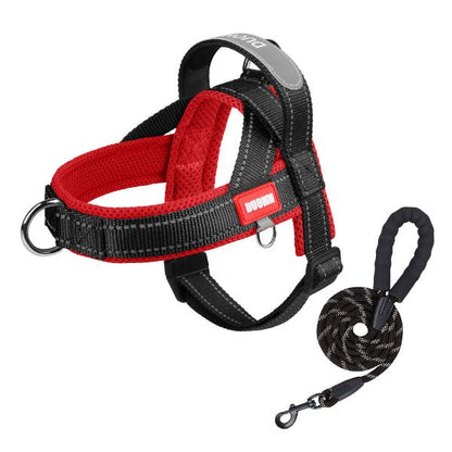 harnais pour chien noir et rouge avec laisse assortie, modele respirant et renforce pour promenade securisee et controle optimal