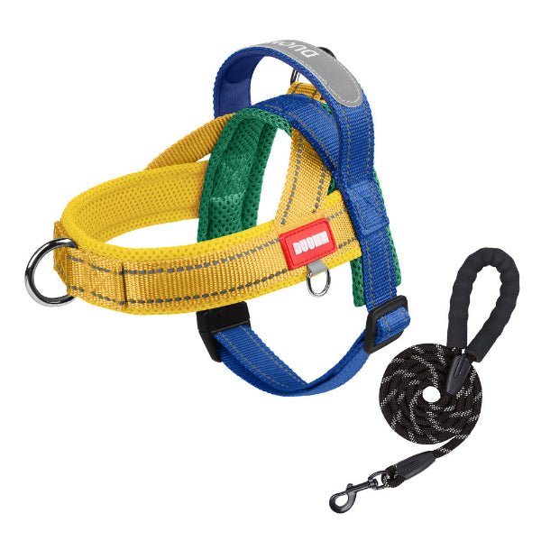 harnais chien multicolore jaune bleu vert avec laisse incluse, design confortable reglable ideal pour balade quotidienne et activites exterieures