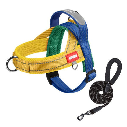 harnais chien multicolore jaune bleu vert avec laisse incluse, design confortable reglable ideal pour balade quotidienne et activites exterieures