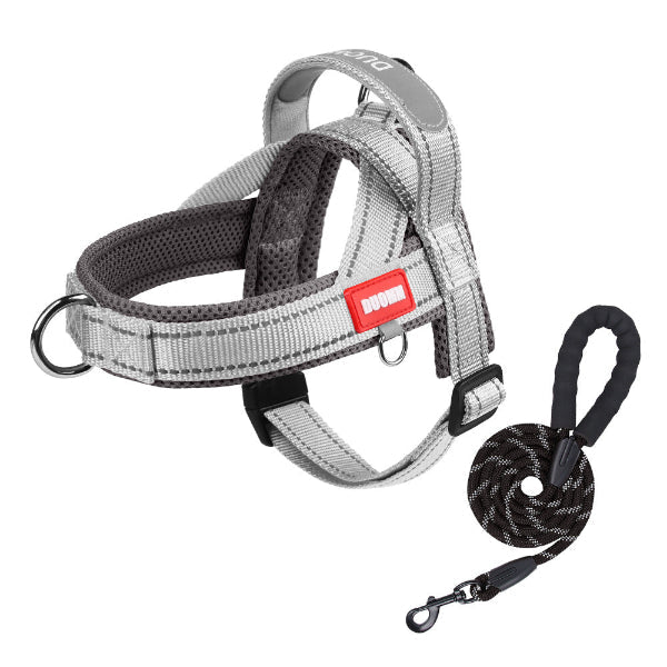harnais pour chien gris anthracite sangle durable et confortable pour usage quotidien