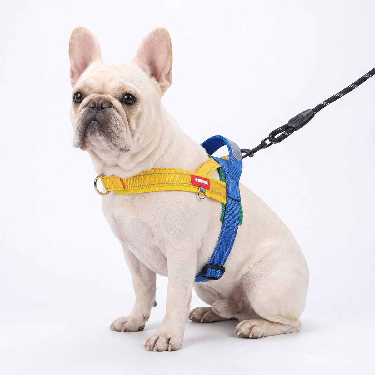 Bouledogue français portant le harnais pour chien rose et gris avec sa laisse assortie, vue de face