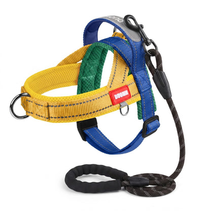 Harnais pour chien confort respirant multicolore jaune, vert et bleu, vue détail des sangles