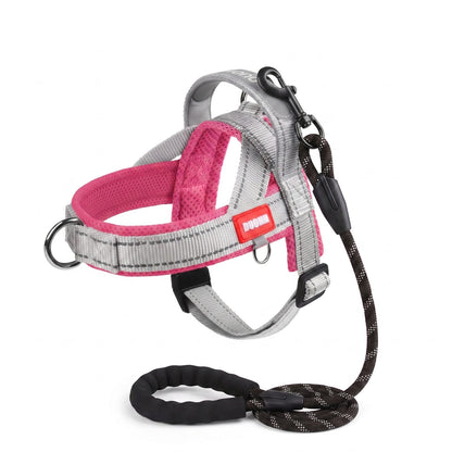 Guide des tailles du harnais pour chien confort respirant avec laisse, du S au XL
