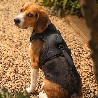 Mode d'emploi du harnais pour chien FlexiHarness : glisser, boucler et serrer les sangles