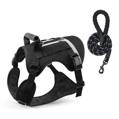 harnais pour chien TactiGuard noir robuste avec laisse assortie