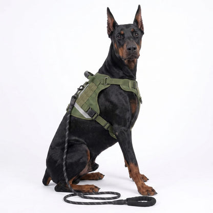 Chien assis avec sa laisse, portant le harnais pour chien TactiGuard vert olive
