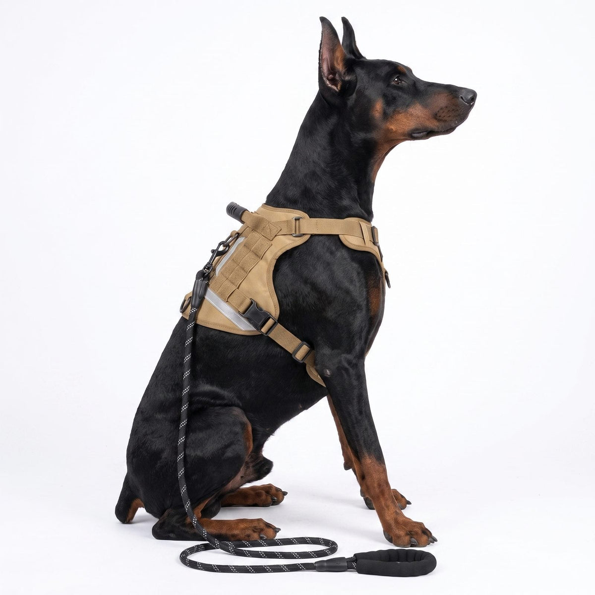 Chien assis de profil portant le harnais pour chien TactiGuard beige