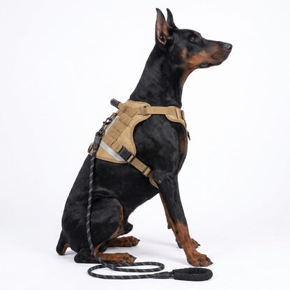 Chien assis de profil portant le harnais pour chien TactiGuard beige