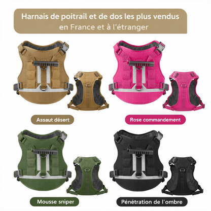 Harnais chien tactique disponible en plusieurs couleurs noir rose vert mousse et sable, modèles poitrine et dos réglables