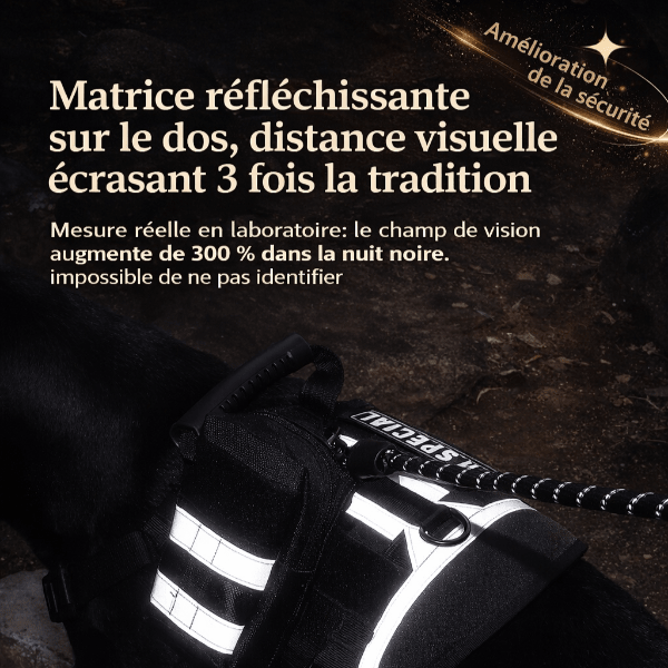 Harnais chien réfléchissant visible la nuit, bandes lumineuses haute visibilité pour sécurité renforcée lors des promenades nocturnes