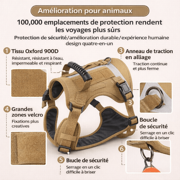 Détails harnais chien tissu oxford 900D résistant, poignée caoutchouc, anneau métal traction, boucles de sécurité et design respirant
